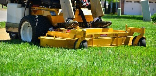 Ways a Person Can Handle Personal Lawn Care